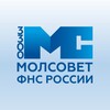 Логотип телеграм канала @molsovet33 — Молодежный совет 33