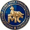 Лагатып тэлеграм-канала molsovetgomel — Молодёжный совет Гомеля