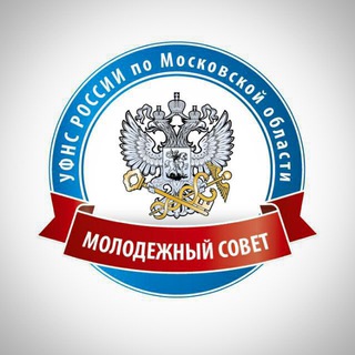 Логотип телеграм канала @molsovetufns — Молодежный Совет Московской области