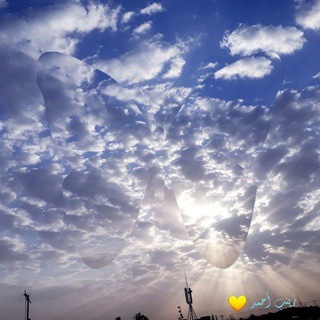 لوگوی کانال تلگرام momayazbelasfar — مُميّز بالأصفر 💛🌼