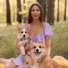 Logo of telegram channel momcorgi — mom.corgi