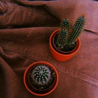 Telegram kanalining logotibi moments_feri — 𝙸𝚝'𝚜 𝚖𝚎🌵