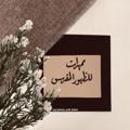 Logo saluran telegram momhidat_almahdy — ممھدات للظھور المقدس✨