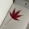 Логотип телеграм -каналу momiji_typing — моміджі is typing …