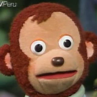 டெலிகிராம் சேனலின் சின்னம் momosentuidioma — Memes, Momos y Memeringos en español :V