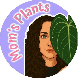 Логотип телеграм канала @moms_plants — Mom's Plants 🌿