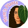 Логотип телеграм канала @moms_plants — Mom's Plants 🌿