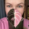 Логотип телеграм канала @momsterra — Momsterra🌱Инвестируй в зелёное