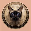 Логотип телеграм канала @mon_coin — MON COIN | КРИПТА
