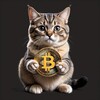 Логотип телеграм канала @moneycatz — MoneyCat 🐈‍⬛