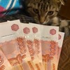 Логотип телеграм канала @moneykoffe — Кофемания🍀