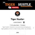 Logo saluran telegram moneymagicofficial — Tiger Hustle  Channel