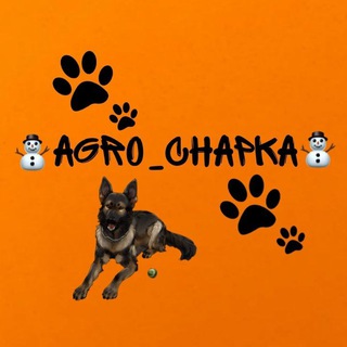 Логотип телеграм канала @mongreldogchapaka — ᴀɢʀo|ᴄʜᴀᴘᴋᴀ✌️❤️‍🔥