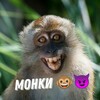 Логотип телеграм канала @monkey_lyuti — Канал монки🐒🦉