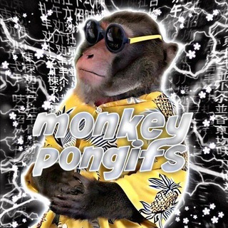 Логотип телеграм -каналу monkeypongifs — monkey pon | gifs