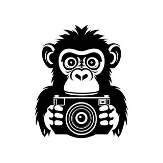 Логотип телеграм канала @monkeysandfilms — Обезьяны и кино