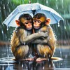 Логотип телеграм канала @monkeysrain — Обезьяны под дождем