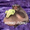 Логотип телеграм канала @monko_ponko — монко понко