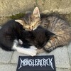 Logo of telegram channel monstrcock — MONSTERCOCK