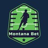 Логотип телеграм канала @montana_bbet — Montana Bet