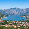 Логотип телеграм канала @montenegro_na_ladoni — Montenegro на ладони
