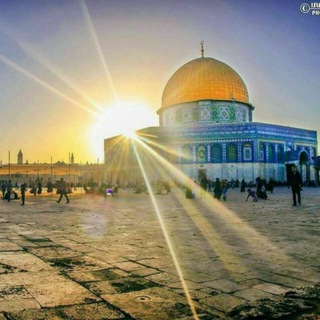 لوگوی کانال تلگرام moon_201 — 📢نبض القدس🇵🇸