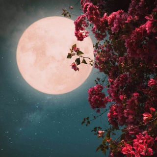 Telegram channel Del Luna🌕🌙 logo