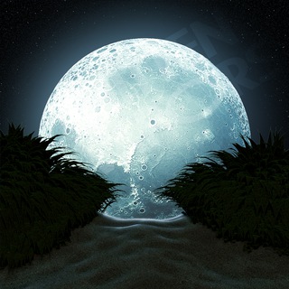 Логотип телеграм канала @moon0light — Moonlight