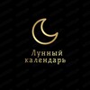 Логотип телеграм канала @moon_in_pocket — Лунный календарь