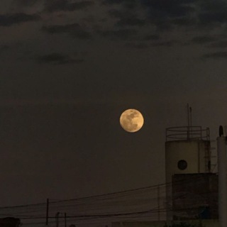 لوگوی کانال تلگرام moonchd — moonchild
