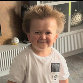 Логотип телеграм канала @moondaag — fen1x