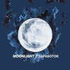 Logo of telegram channel moonlight_zarabotok — MOONLIGHT || Заработок