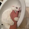 Логотип телеграм канала @moonlightava0 — маши всегда наши 🤬