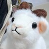 Логотип телеграм канала @moonlightfyou — почему Сарина…