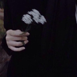 Логотип телеграм канала @moonnsv — ᴍ ᴏ ᴏ ɴ🌙