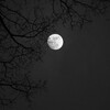Логотип телеграм канала @moonruwork — MoonWork Работа в интернете