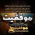 Logo saluran telegram moovafaghiiat — موفقیت