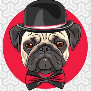 Логотип телеграм канала @mopschat777 — Изолятор Временного Содержания | Мопс дядя пёс