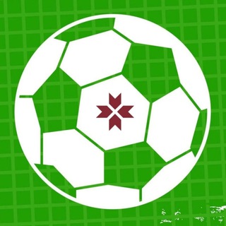 Логотип телеграм канала @mordovia_football — Футбол Мордовии