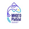 Логотип телеграм канала @morefishspb — «Много рыбы» Санкт-Петербург 🌊🐠🦞🦐🦑