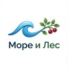 Логотип телеграм канала @moreiles1 — Море и Лес- магазин с доставкой на дом