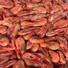 Логотип телеграм канала @moreproduct_salmachi — Морепродукты Салмачи/Вишневка/Куюки