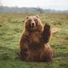 Логотип телеграм канала @morinooukoku — Север и Восток