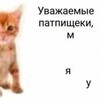 Логотип телеграм канала @morkovka_govori — морковка говори🥕