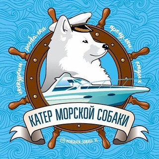 Логотип телеграм канала @morskaya_sobaka_vl — Путешествия с Морской Собакой