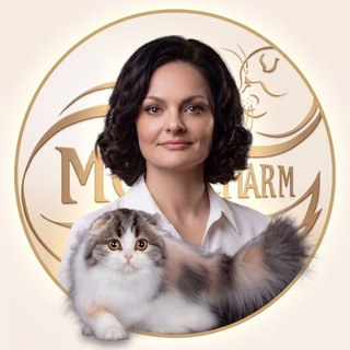 Логотип телеграм канала @mos_charm — Питомник Шотландских кошек | Mos Charm