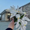 Логотип телеграм канала @moscouvita — Moscovita
