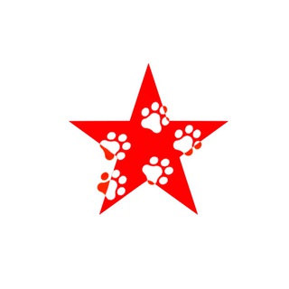 Telegram channel Москва logo