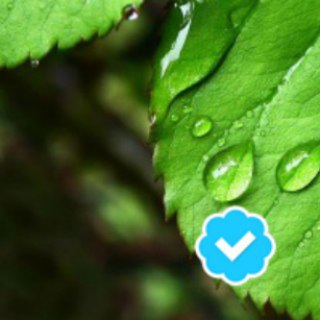 Логотип телеграм канала @mosecomonitoring — Мосэкомониторинг