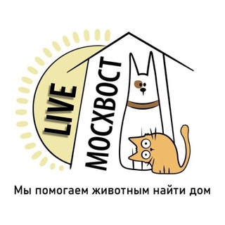 Логотип телеграм канала @moshvost_live — МОСХВОСТ LIVE